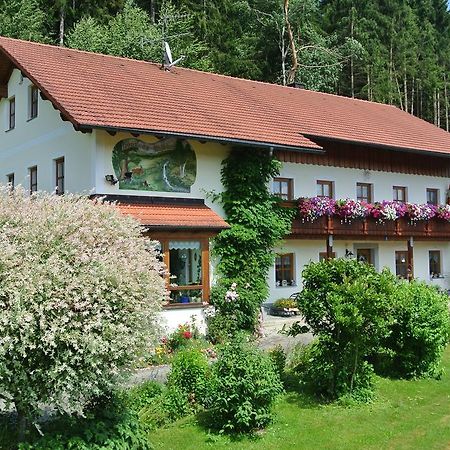 Haus Am Waldrand - Ferienwohnung Augustin Графенау Экстерьер фото