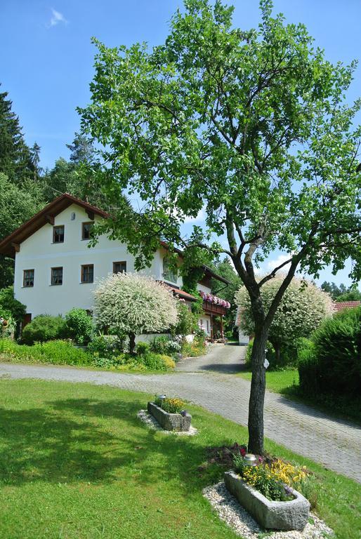 Haus Am Waldrand - Ferienwohnung Augustin Графенау Экстерьер фото