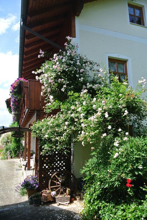 Haus Am Waldrand - Ferienwohnung Augustin Графенау Экстерьер фото